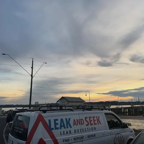 Leak and Seek van parked at sunset
