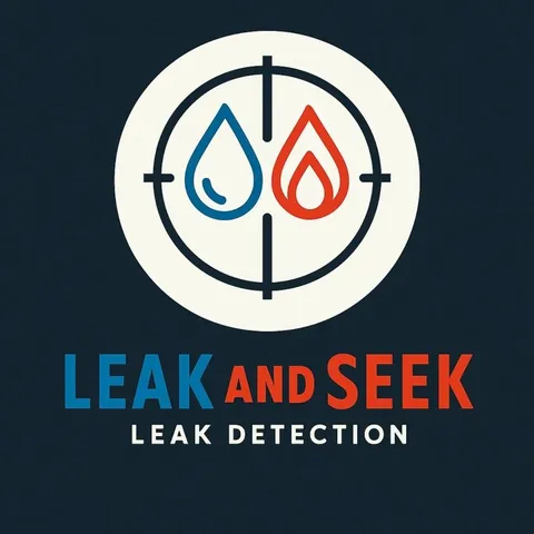 Leak and Seek logo mark