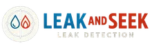 Leak and Seek logo