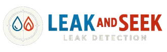 Leak and Seek logo